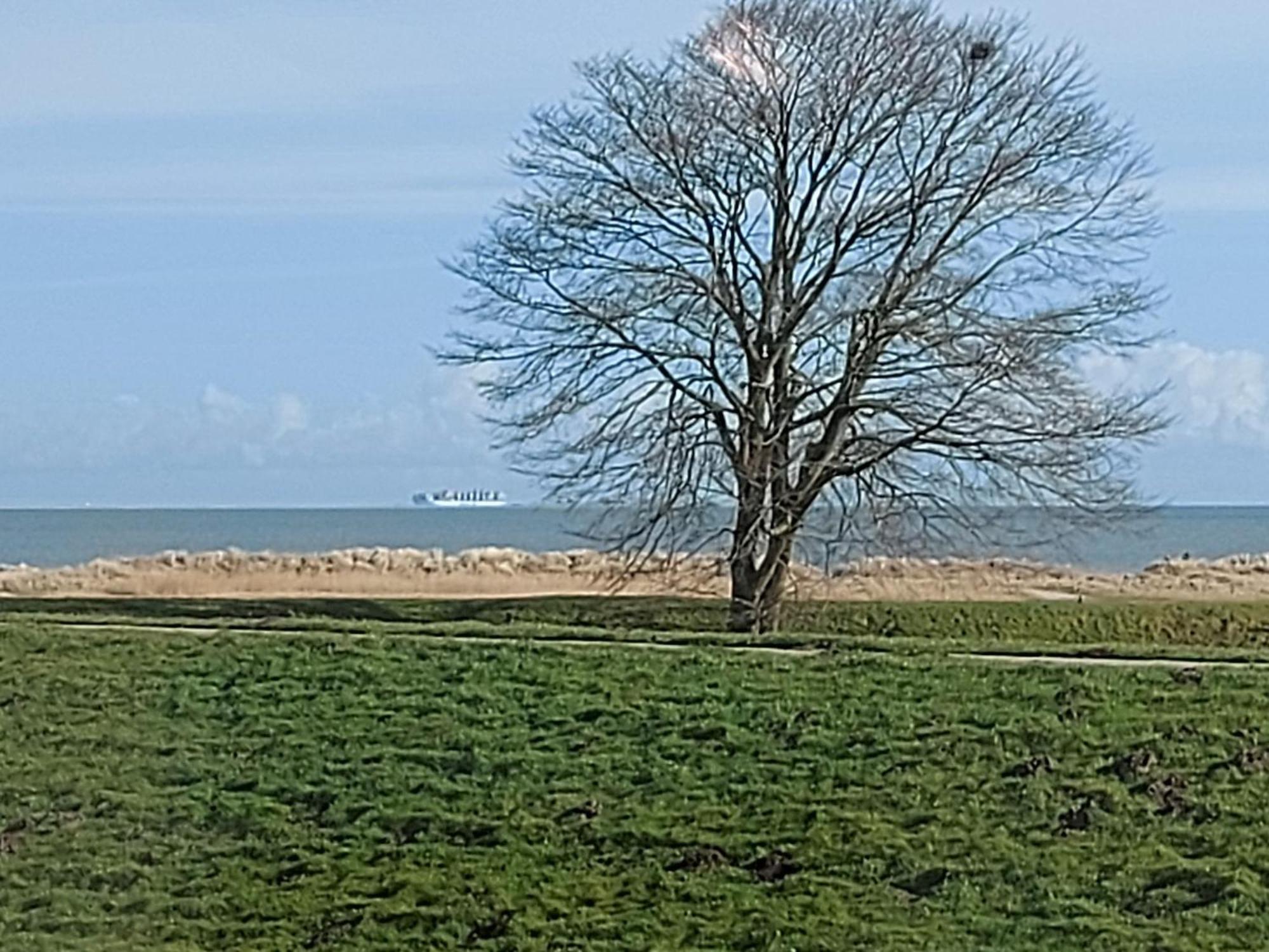 Ferienwohnung Reinsch Schillig Esterno foto
